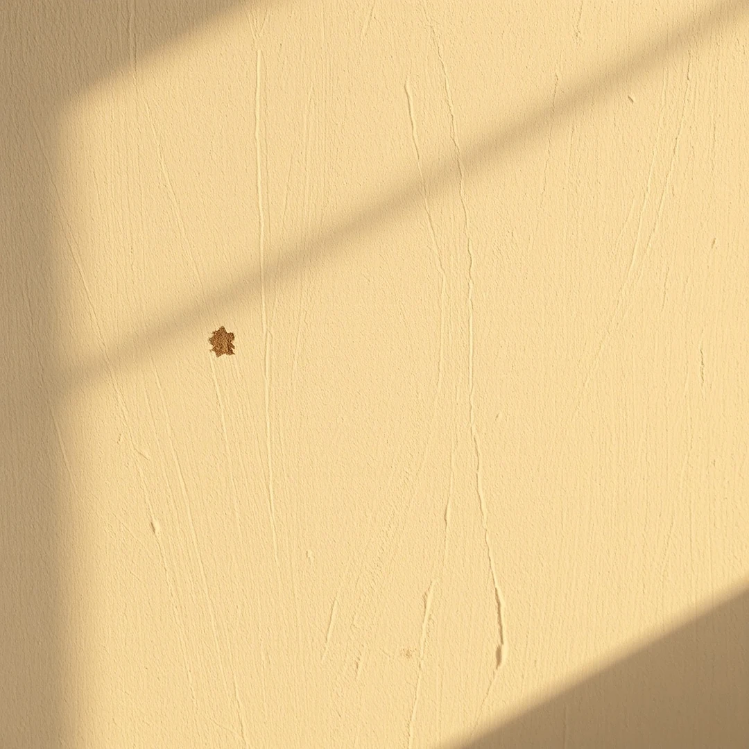 Macro of limewash wall micro texture: overlapping trowel strokes and soft shadow lines in warm side light